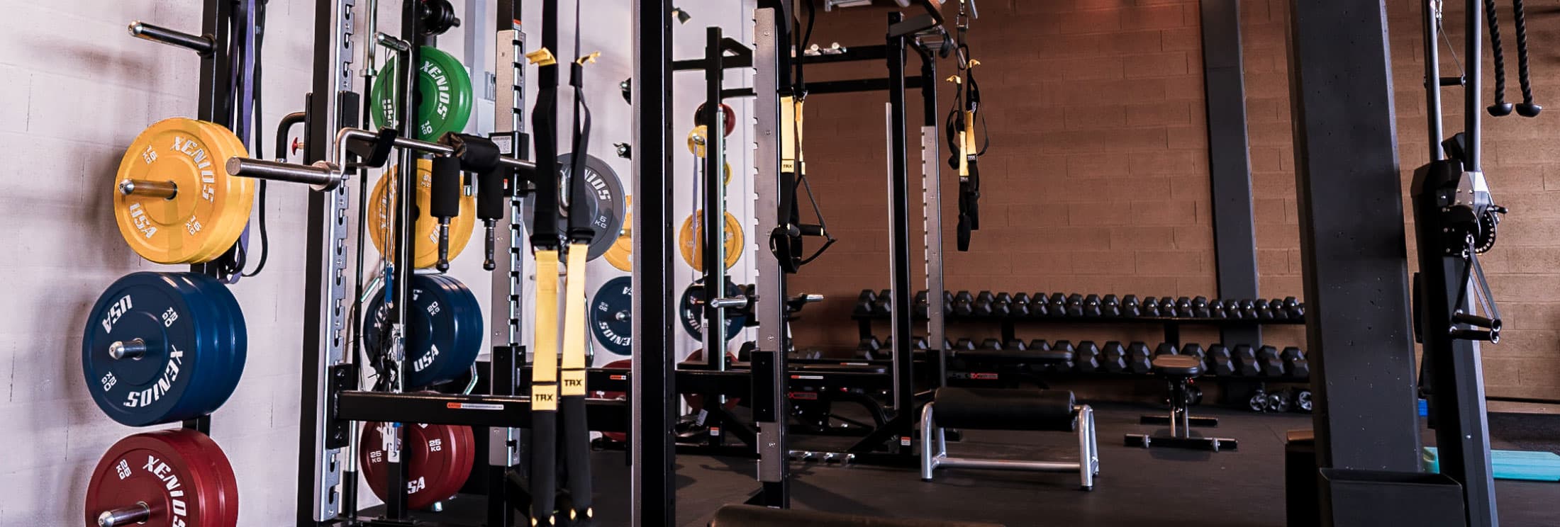 Programme musculation, personal trainer fitness à Lausanne Programme musculation, personal trainer fitness à Lausanne